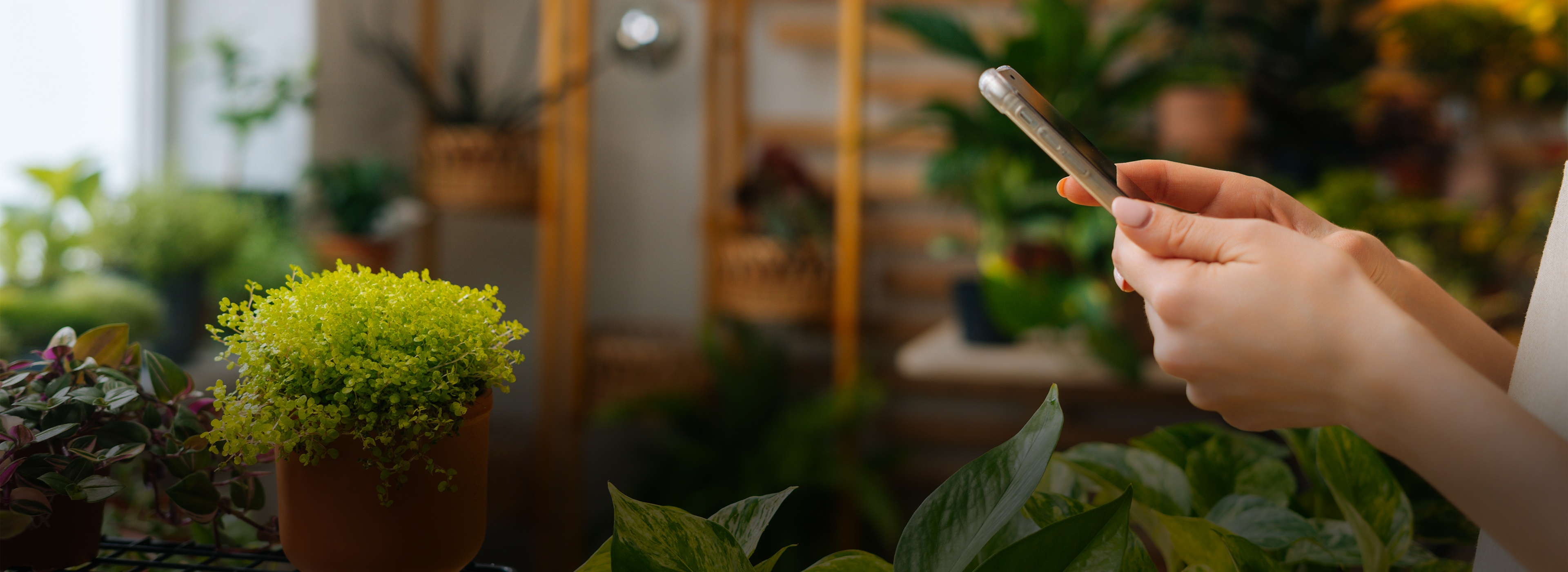 New_Banner_Design_jsdhfkdjfs_57effad8-a482-48ef-ba49-8e0c2c408a72.png