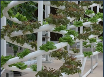 Hydroponics