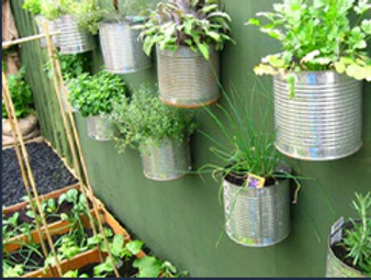Pots