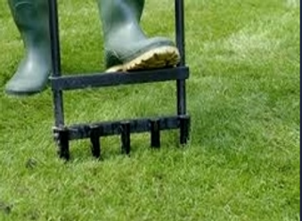 Lawns &amp; Turf
