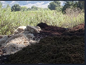 Composting