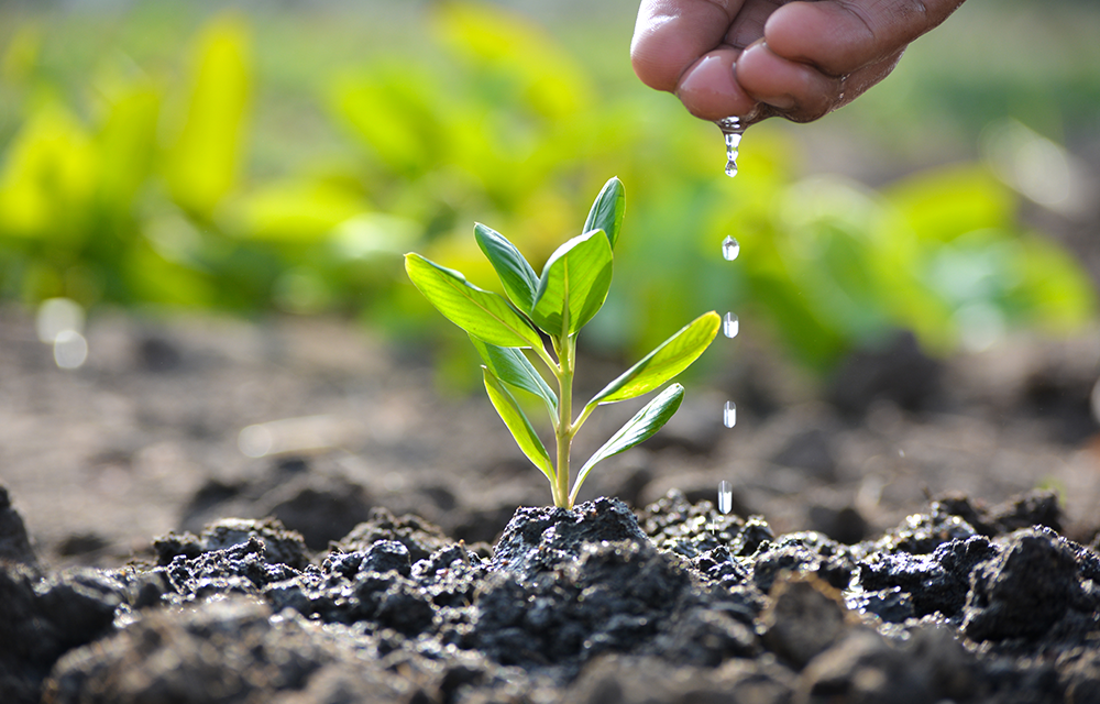 Biochar Application Instructions